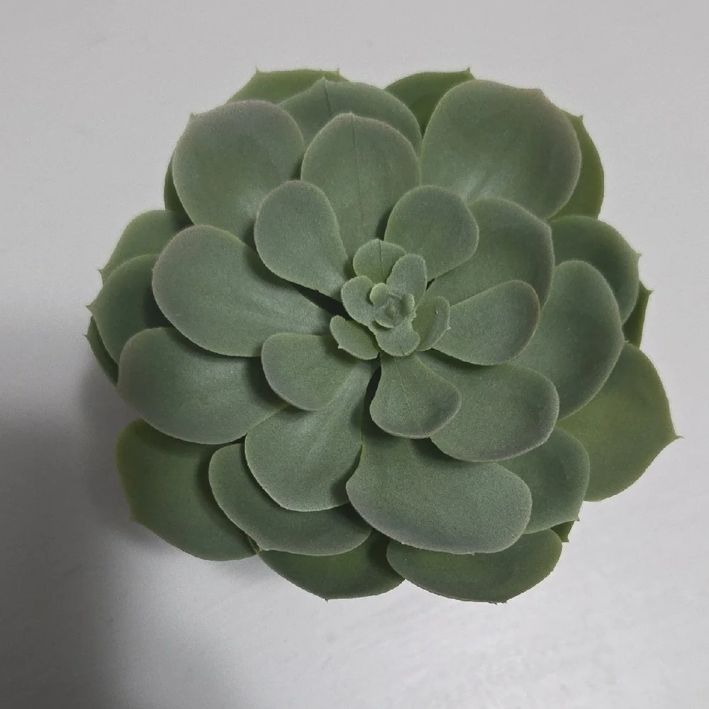 🔵3/$13 IKEA FEJKA Artificial Succulent